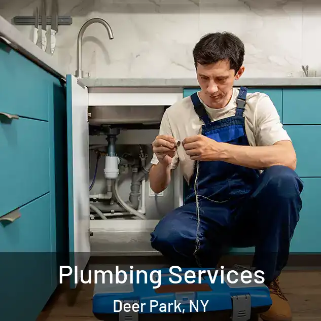  Plumbing Services Deer Park, NY
